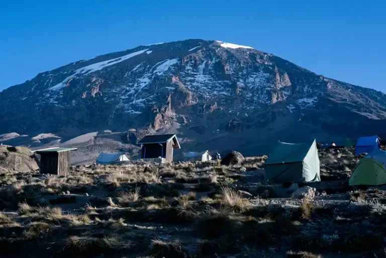 Kilimanjaro: Ruta Lemosho. Viatges amb grup. Viatges sol.